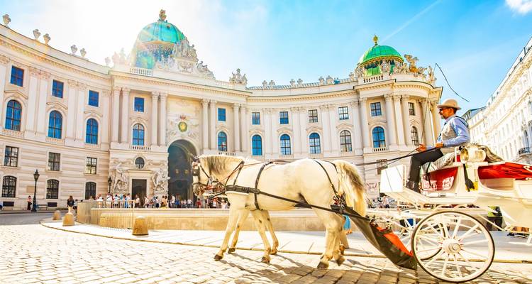 Horse-drawn carriage passing by a grand historic building.