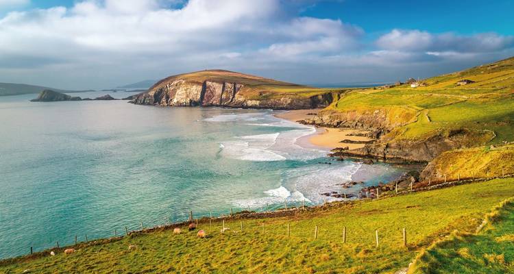 Eine malerische Bucht mit smaragdblauem Wasser, einem geschwungenen Sandstrand und grasbewachsenen Klippen unter klarem türkisfarbenem Himmel.