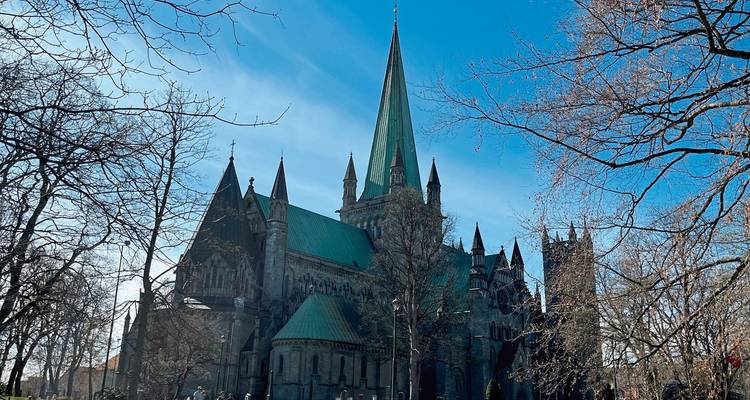 Catedral histórica con una torre alta rodeada de árboles.