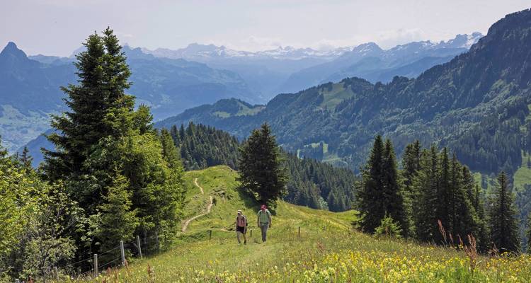 Zwei Menschen wandern auf einem grasbewachsenen Pfad mit Blick auf Berge in der Ferne.