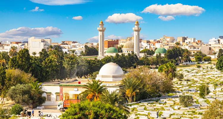 Vue à travers un cimetière bordé de palmiers vers d'élégantes mosquées avec des dômes et des minarets sous un ciel bleu éclatant.