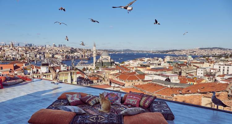 An elevated view of Istanbul with mosques and numerous rooftops.