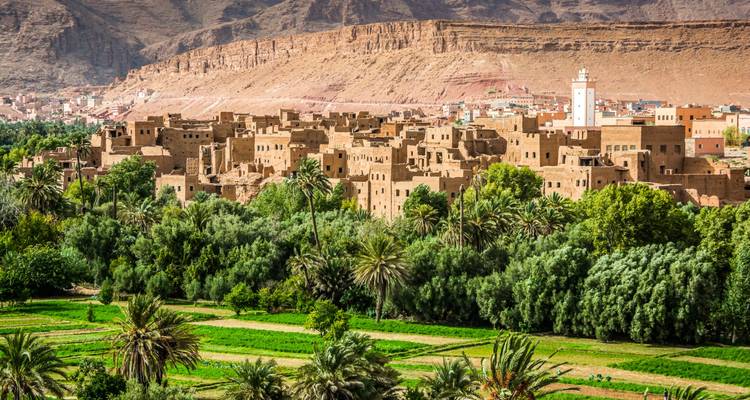 Green oasis and traditional architecture amidst desert hills.
