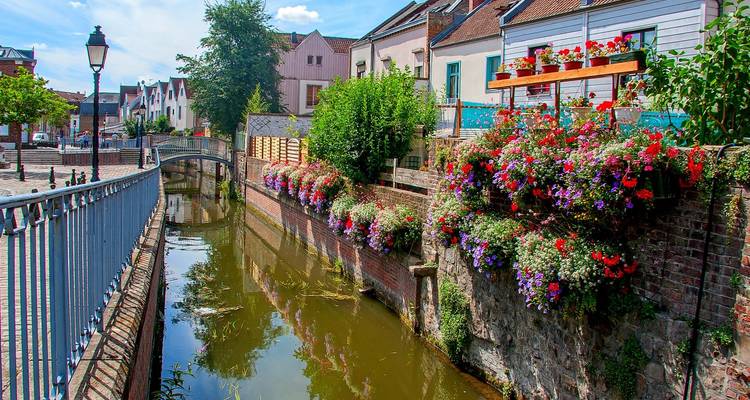 Colorful flowers along a narrow canal with European-style houses.