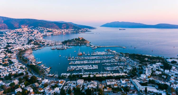 Aerial view of a marina and coastline with yachts.