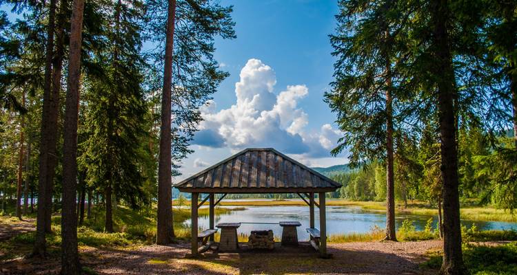 Une aire de pique-nique au bord d'un lac, entourée de forêts.