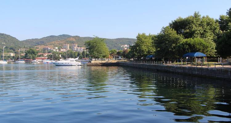 Tranquil waterfront with boats, trees, and distant city buildings.