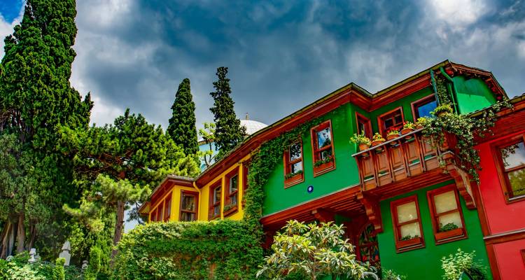 Bâtiment coloré couvert de lierre avec des arbres vibrants autour.