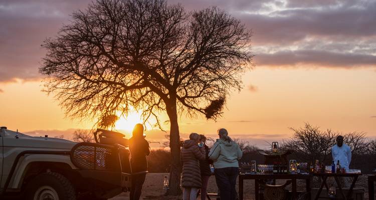 People enjoying a sunset with drinks in a safari setting.