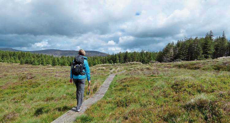 Personne faisant de la randonnée sur un sentier à travers des champs herbeux avec une forêt en arrière-plan.