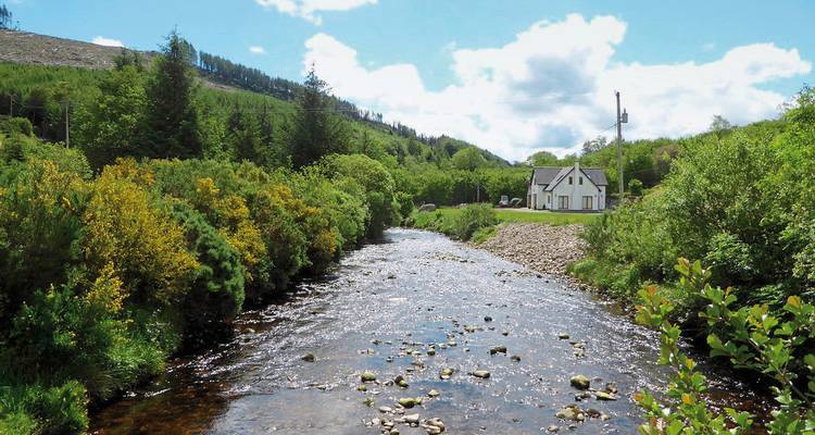 Casa pequeña junto a un arroyo que fluye en un entorno verde y exuberante.