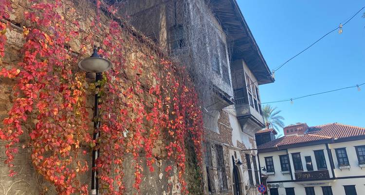 Old building with vibrant autumn vines.