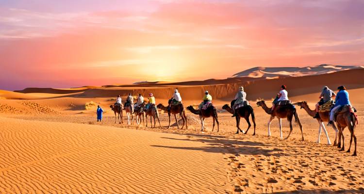 Camel caravan walking in the desert at sunset.