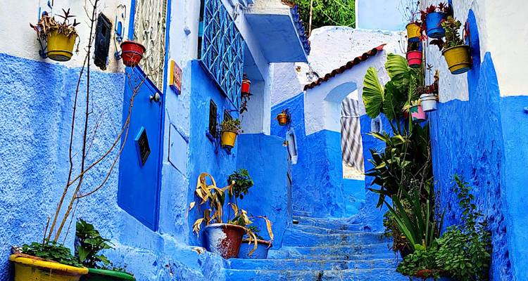 Callejón pintado de azul brillante bordeado de plantas en macetas y detalles coloridos en Chefchaouen.