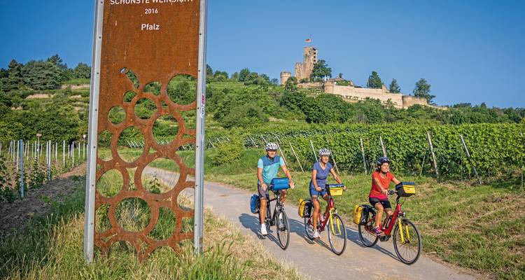 Trois cyclistes passent à vélo devant un vignoble avec un panneau indiquant 'Schönste Weinsicht 2016'.