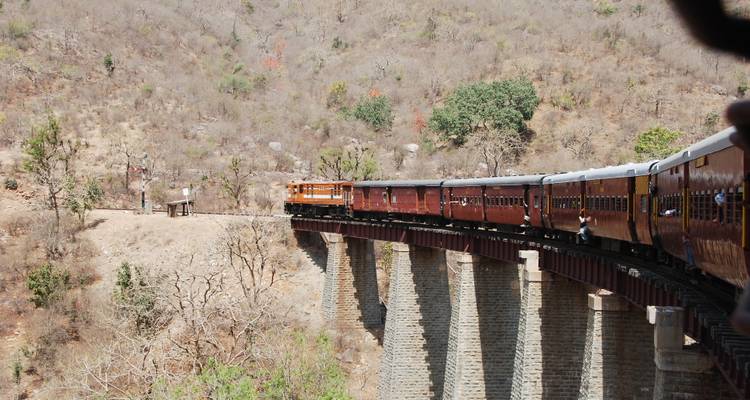 Passagierstrein die een brug over een kloof oversteekt.