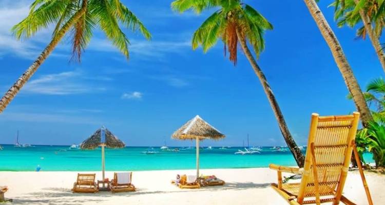 Sillas de playa y sombrillas en una playa tropical.