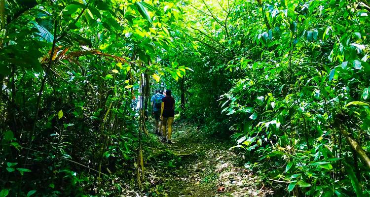 Twee mensen die door een weelderig groen junglepad lopen.