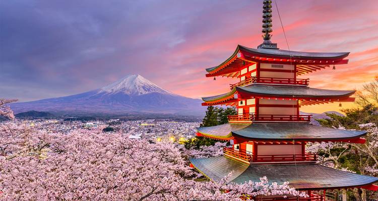 Une pagode avec le mont Fuji et des fleurs de cerisier au coucher du soleil.