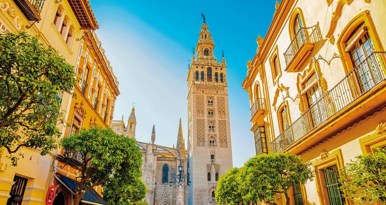 Historische Kathedrale mit verzierter Fassade und Bäumen in der Nähe.