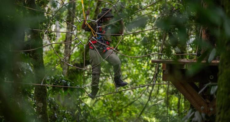Personne naviguant sur un parcours de cordes dans une forêt dense.