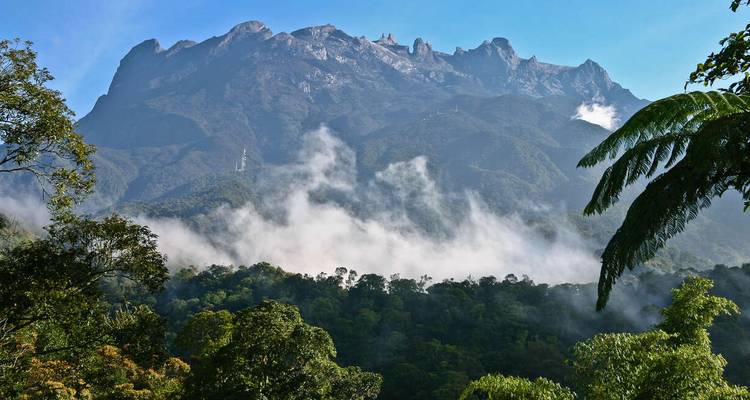Mount Kinabalu rising above forest with mist and cloudy blue sky.