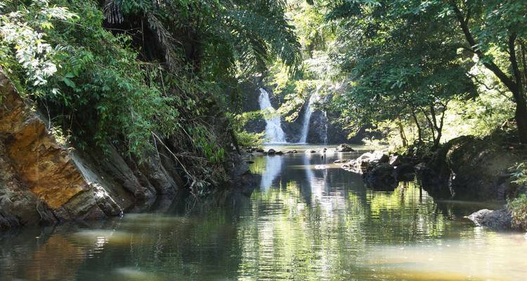 Waterfall flowing into a tranquil pool in a lush jungle setting.