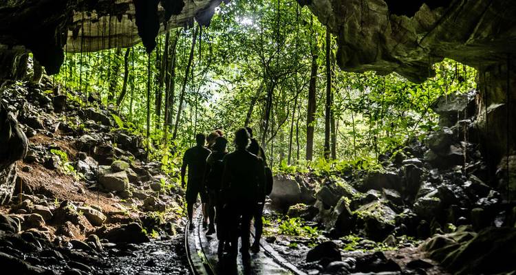 Siluetas de excursionistas saliendo de un túnel de cueva hacia la luz exuberante de la selva.