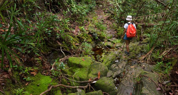 Randonneur solitaire avec sac à dos rouge traversant un ruisseau de jungle moussue.