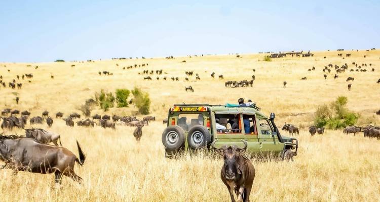 Jeep met mensen en gnoemigtratie in het grasland.