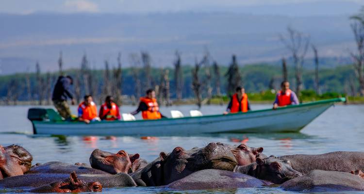 Boottocht voor het observeren van nijlpaarden in het water.