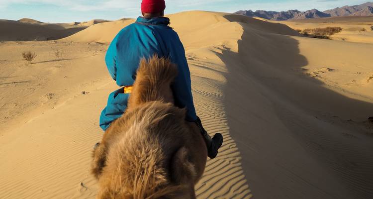 Person riding a camel in a desert landscape.
