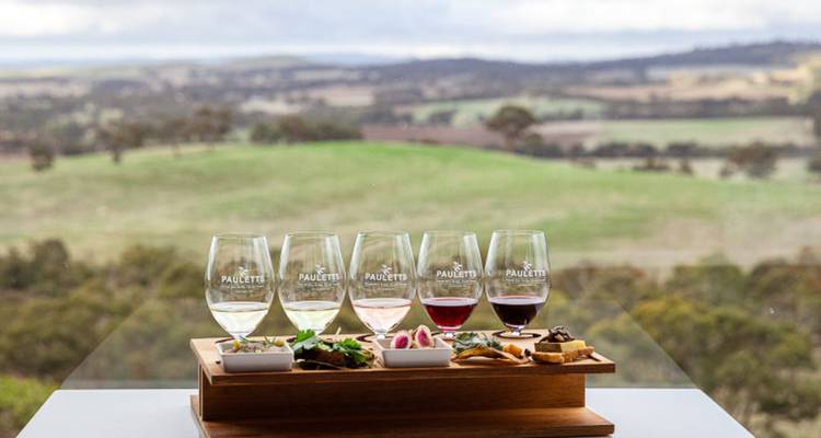 Copas de vino y aperitivos con vista al viñedo.