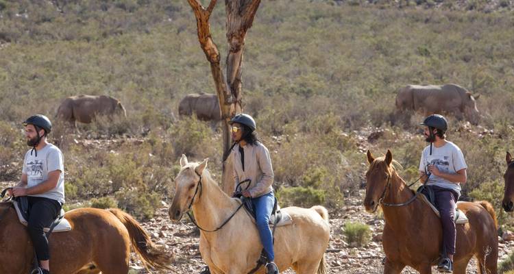 People on horseback riding through bushland with elephants in the background.
