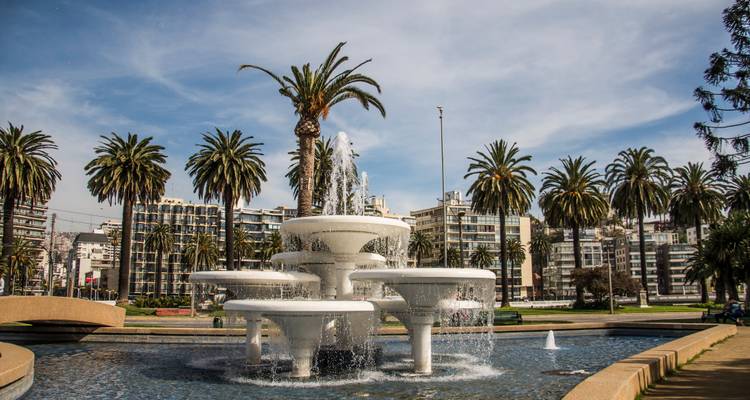 Fontaine avec palmiers et bâtiments en arrière-plan.