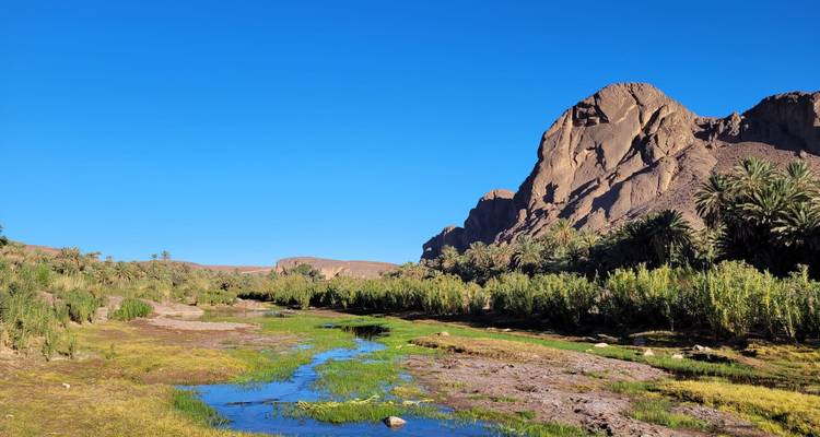 Acantilado rocoso y valle oasis bordeado de palmeras reflejado en arroyos estrechos bajo un cielo azul claro y vívido.