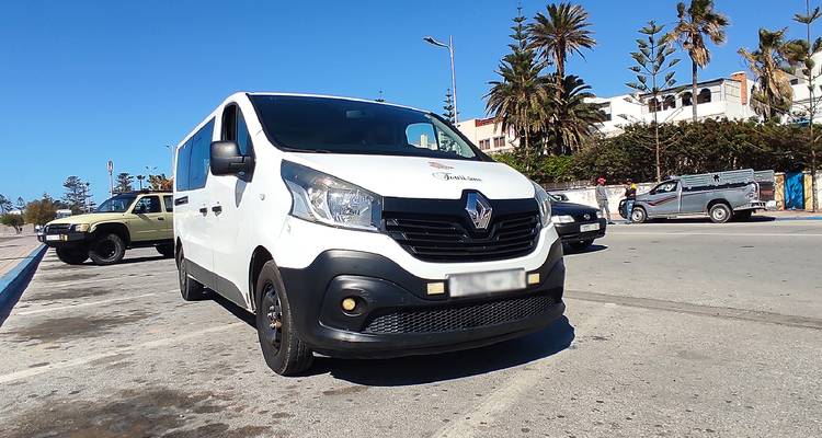 Parked white van in a street with palm trees.