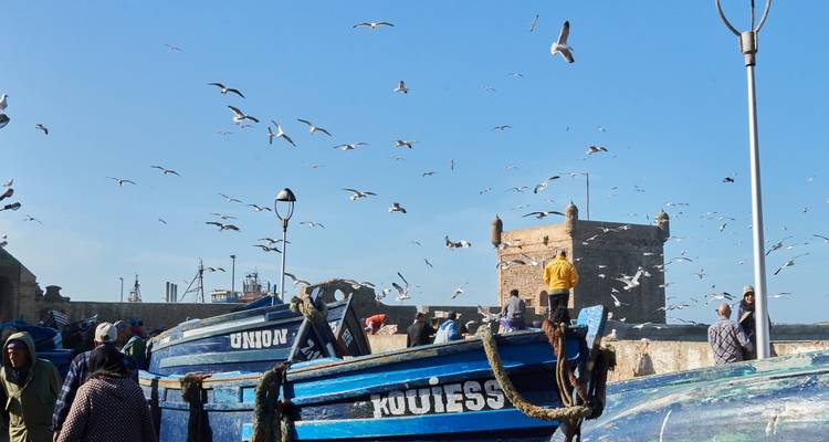 Gaviotas volando sobre personas en botes de madera en el muelle.