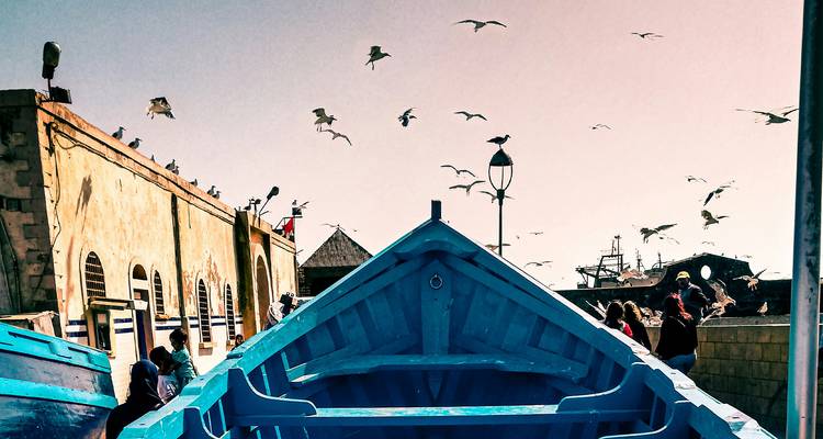 Gaviotas sobre barcos atracados cerca de edificios al atardecer.