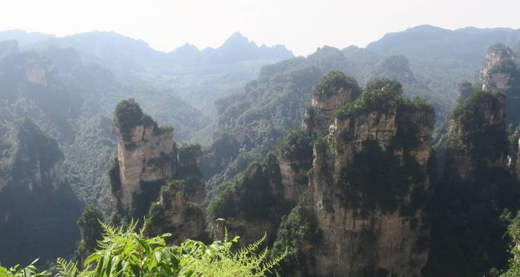 Landschap van karstgebergte met weelderig groen.