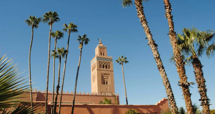 Grande tour entourée de palmiers sous un ciel bleu dégagé.