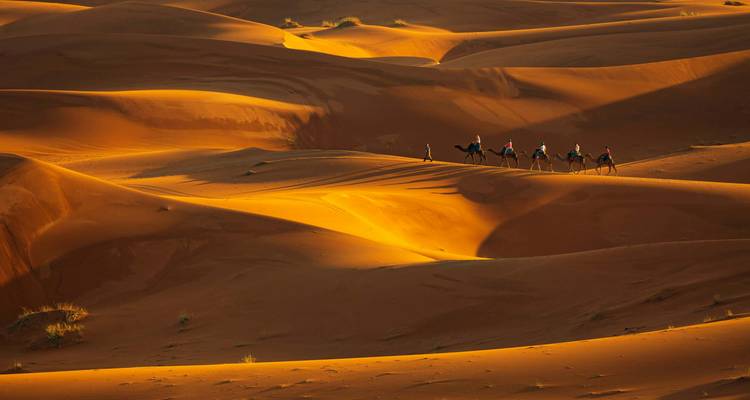 Dunes de sable spectaculaires avec une caravane de chameaux.