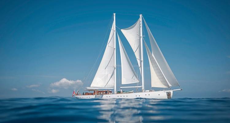 Sailboat on the ocean with full sails and clear sky.