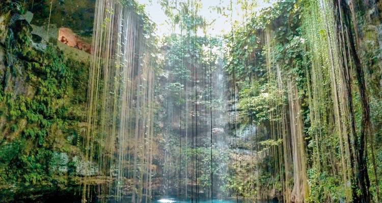 Cenote with hanging vines and clear water.