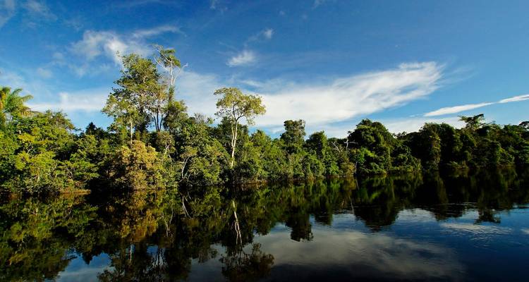 Vivid green trees reflected in a still river under blue skies.