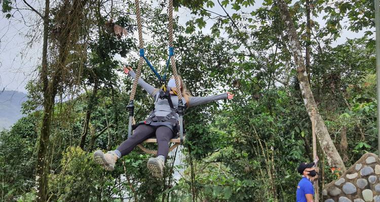 Person enjoying a swing among the trees with a mountainous background.