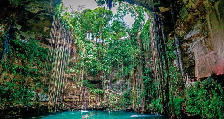Beautiful cenote with clear blue water and hanging vines.