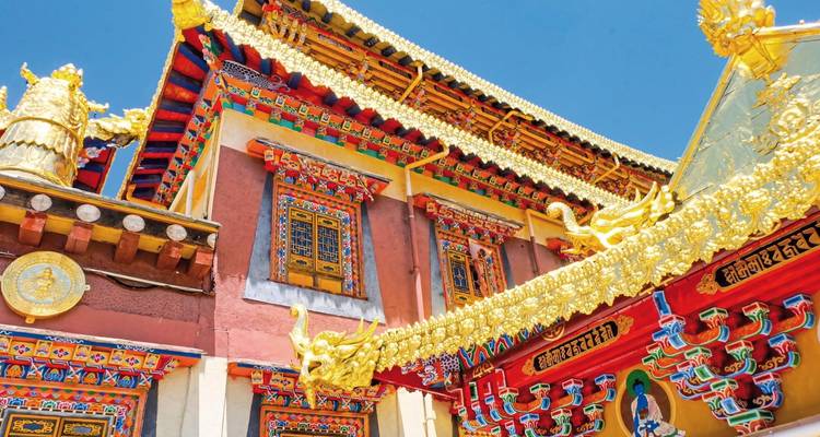 Toits de temple chinois richement décorés sous un ciel bleu dégagé