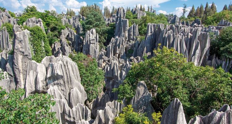 Un paysage karstique unique avec des formations calcaires et de la verdure