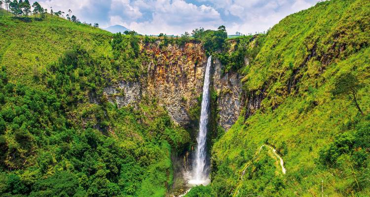 Ein hoher Wasserfall, der in eine üppig grüne Schlucht hinabstürzt.
